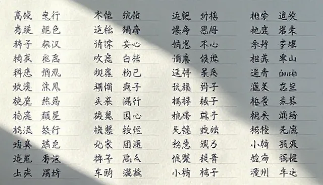 大模型提示词怎么写?独立开发者如何高效整理技巧?
