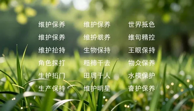 提示词工程师月薪多少,如何提升技能与薪资